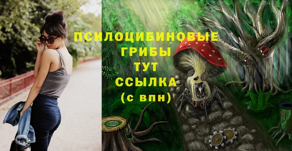 дурь Беломорск