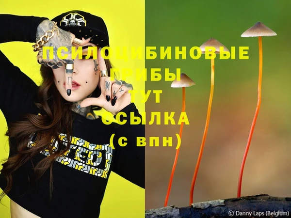 гидропоника Белоозёрский
