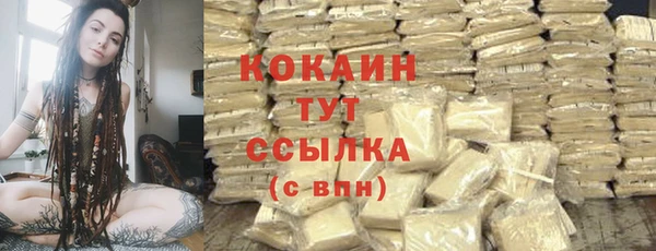 гидра Бронницы