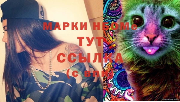 гидропоника Белоозёрский