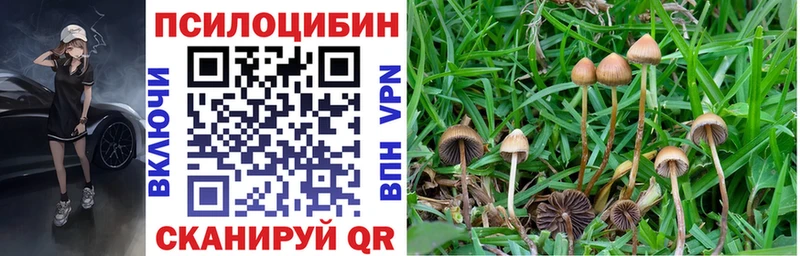 Галлюциногенные грибы мухоморы Купить где Советск